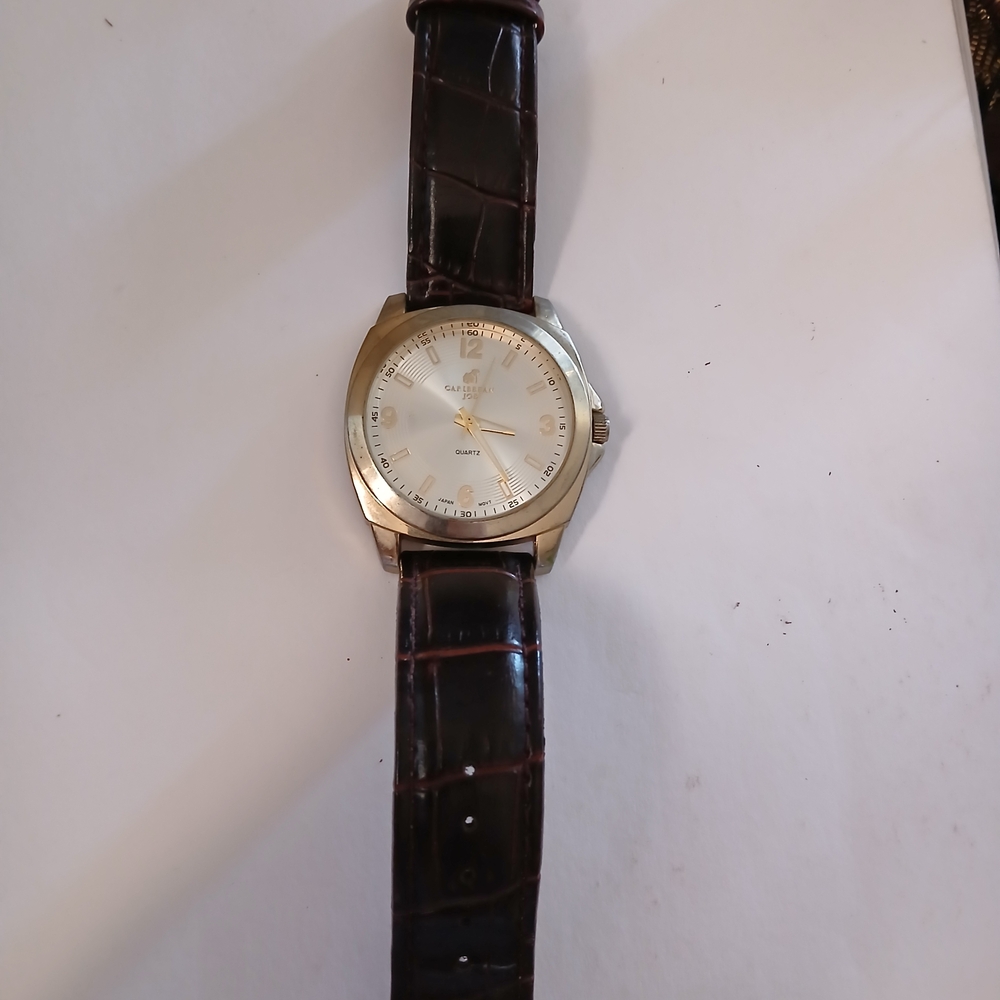 Caribbean Joe Silver and Brown Watch